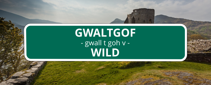 35 funny welsh words and what they mean