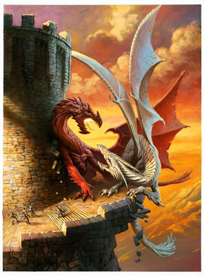  fighting red and white dragon