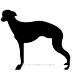 Greyhound image for house sign